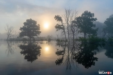 Sapropel from lake