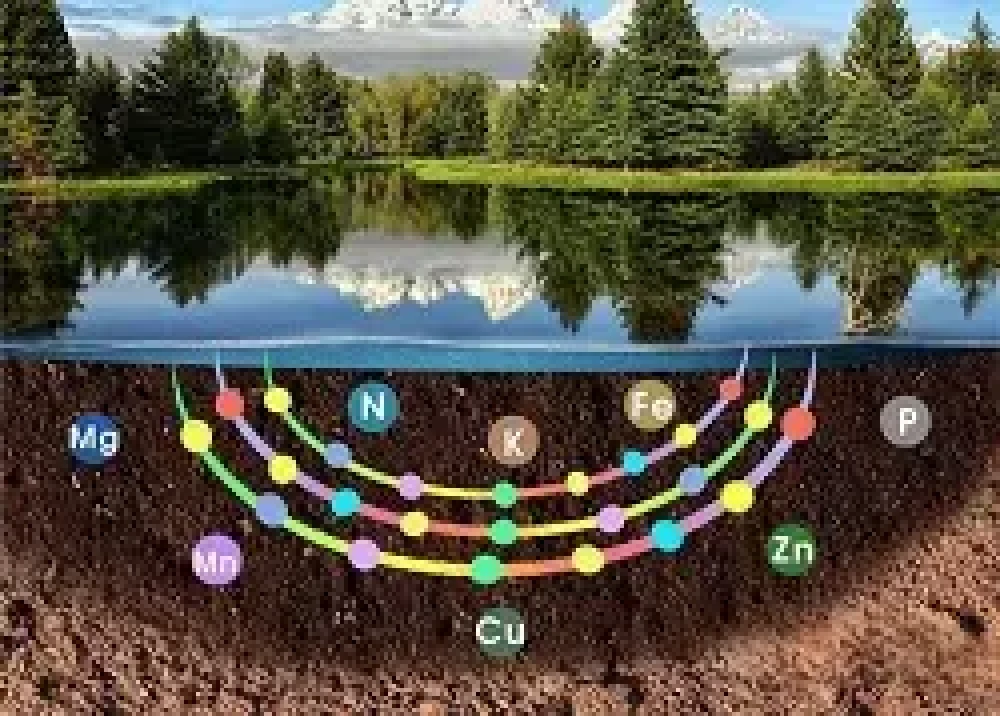 Living Soil of Belarus / Живая земля Беларуси