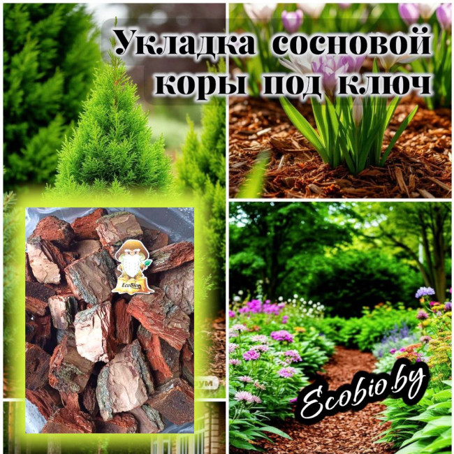Укладка сосновой коры под ключ в Минске и области фото-2 Укладка сосновой коры под ключ в Минске и области фото-2