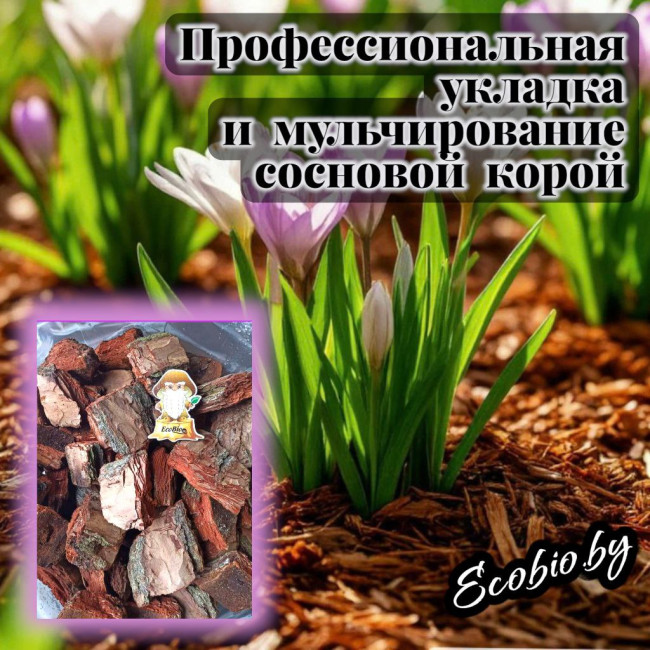 Профессиональная укладка и мульчирование сосновой корой - фото1 Профессиональная укладка и мульчирование сосновой корой - фото1