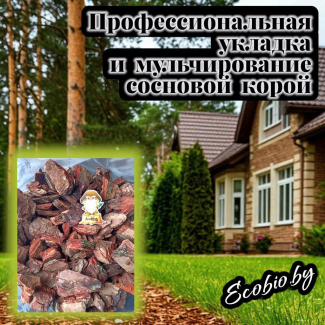 Профессиональная укладка и мульчирование сосновой корой - фото2 Профессиональная укладка и мульчирование сосновой корой - фото2