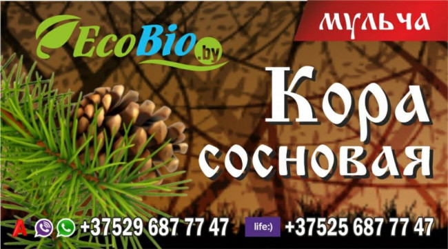 Профессиональная укладка и мульчирование сосновой корой фото-4 Профессиональная укладка и мульчирование сосновой корой фото-4